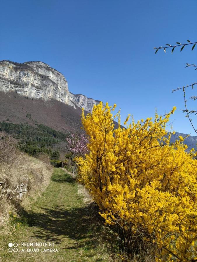 Studio Au Pied De La Montagne Et Vue Imprenable Saint-Alban  Bagian luar foto