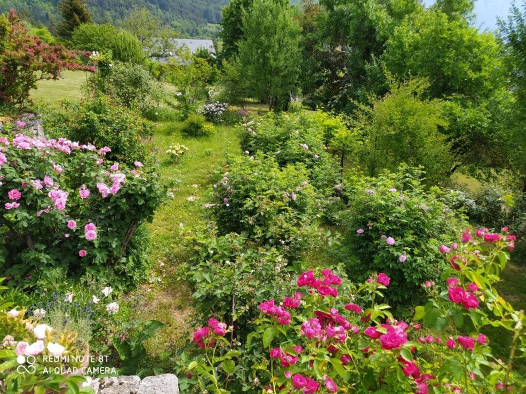 Studio Au Pied De La Montagne Et Vue Imprenable Saint-Alban  Bagian luar foto