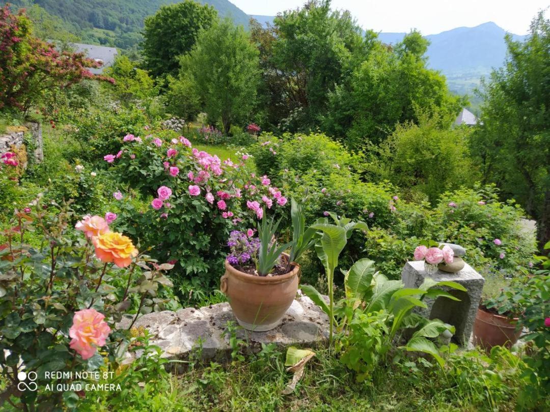 Studio Au Pied De La Montagne Et Vue Imprenable Saint-Alban  Bagian luar foto